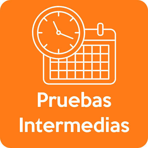 Pruebas Intermedias
