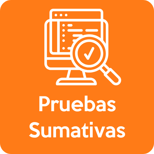 Pruebas Intermedias