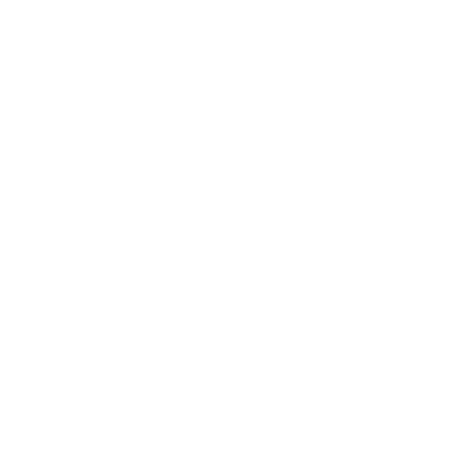 School Director